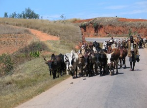 IMG_0915