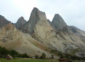 P1020502