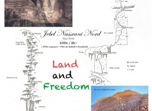 82f4b882-6f0f-45dc-8caf-229952f77499